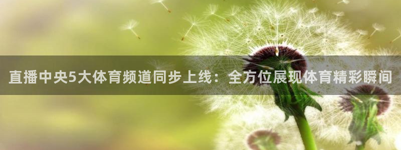 直播中央5大体育频道同步上线：全方位展现体育精彩瞬间