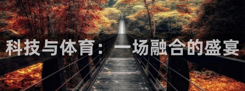 科技与体育：一场融合的盛宴