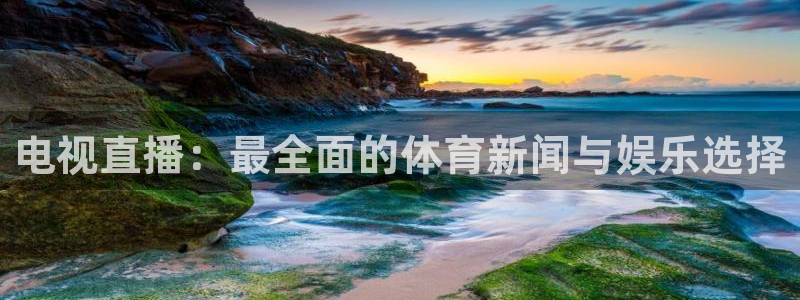 电视直播：最全面的体育新闻与娱乐选择