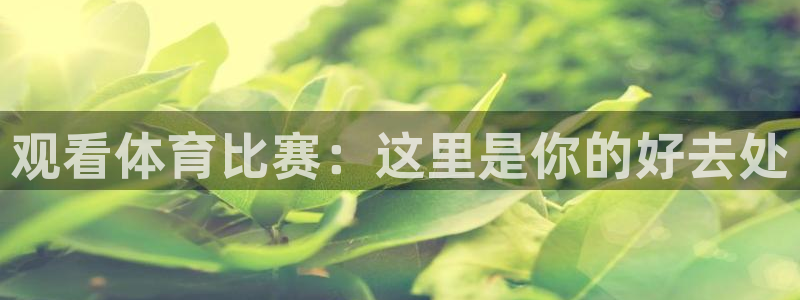 观看体育比赛：这里是你的好去处