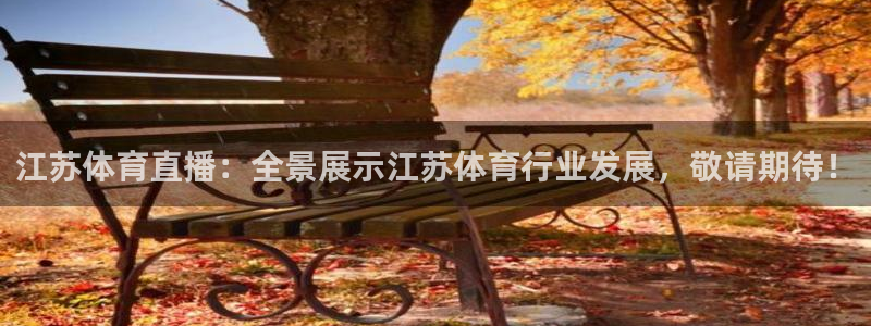 江苏体育直播：全景展示江苏体育行业发展，敬请期待！