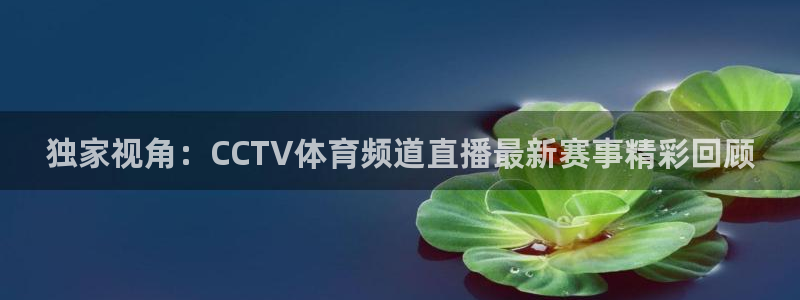 独家视角：CCTV体育频道直播最新赛事精彩回顾