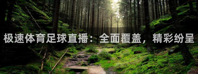 极速体育足球直播：全面覆盖，精彩纷呈