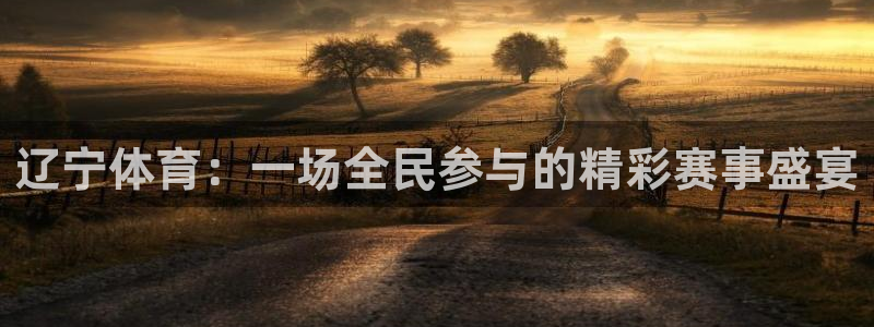 辽宁体育：一场全民参与的精彩赛事盛宴