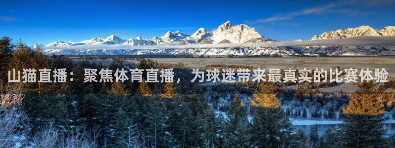 山猫直播：聚焦体育直播，为球迷带来最真实的比赛体验