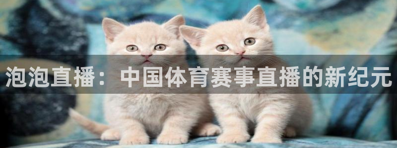 泡泡直播：中国体育赛事直播的新纪元