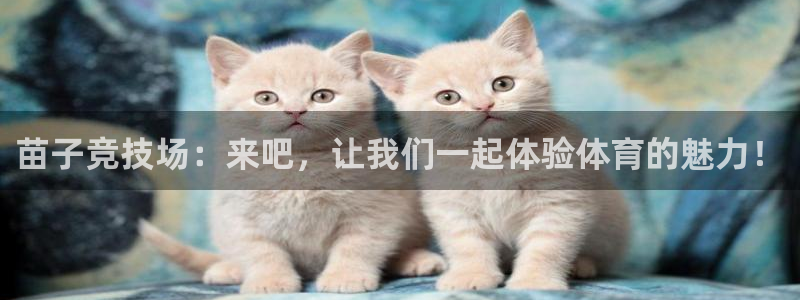 苗子竞技场：来吧，让我们一起体验体育的魅力！