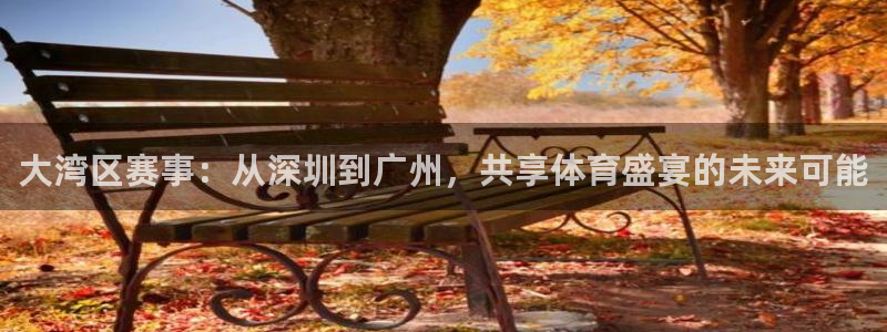 大湾区赛事：从深圳到广州，共享体育盛宴的未来可能