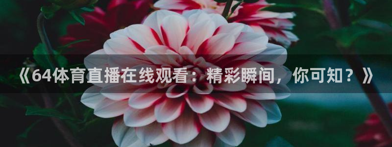 《64体育直播在线观看：精彩瞬间，你可知？》