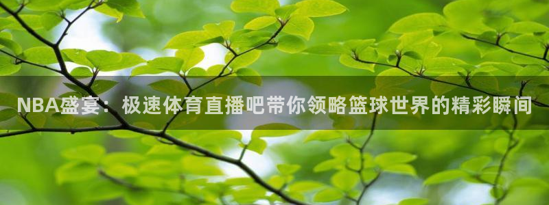 NBA盛宴：极速体育直播吧带你领略篮球世界的精彩瞬间
