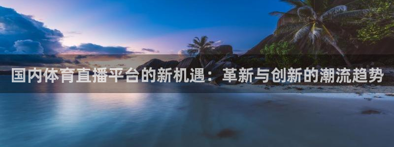 国内体育直播平台的新机遇：革新与创新的潮流趋势