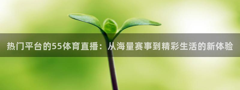 热门平台的55体育直播：从海量赛事到精彩生活的新体验