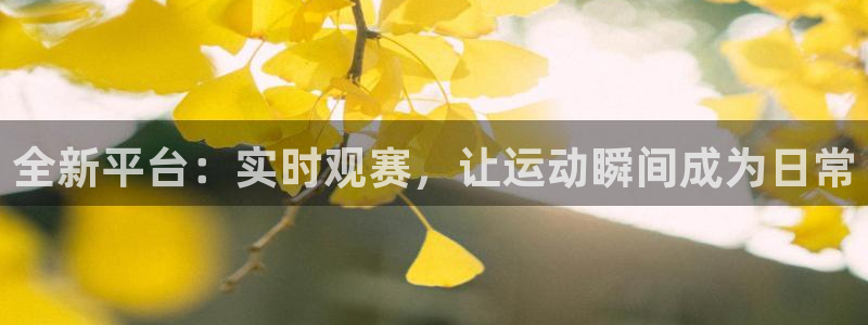 全新平台：实时观赛，让运动瞬间成为日常